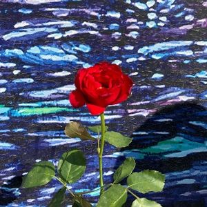 Meet your Posher, Hana